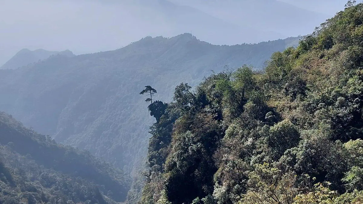 Cañon Punta Águila